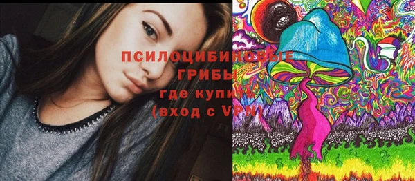 винт Арсеньев