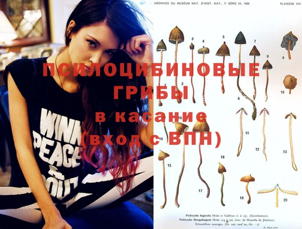 винт Арсеньев