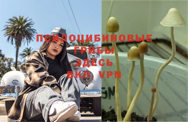 таблы Армянск