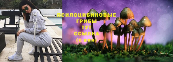 мдма Новодвинск