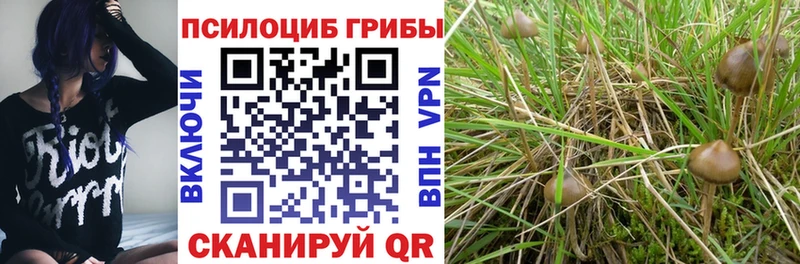 ОМГ ОМГ зеркало Майкоп Галлюциногенные грибы MAGIC MUSHROOMS где продают наркотики