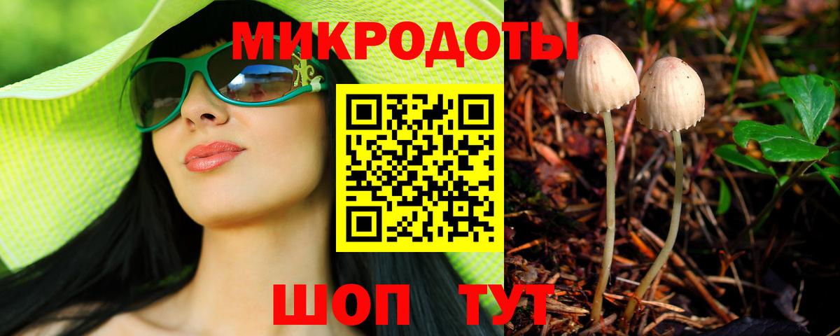 Галлюциногенные грибы мицелий Майкоп